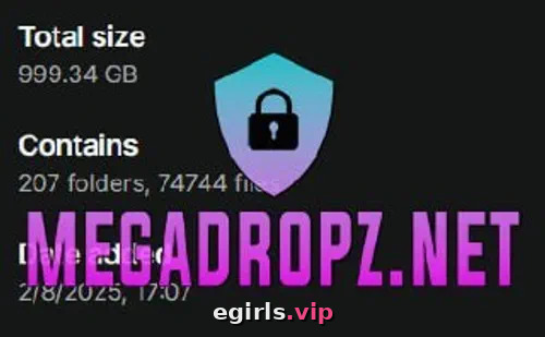 VIP access Use our