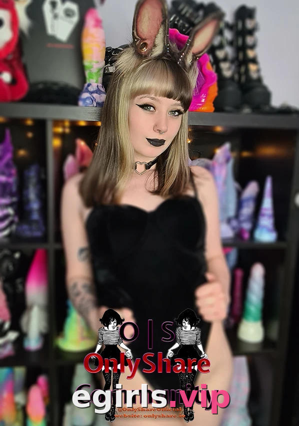little_pixie_kitten